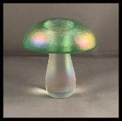 John Ditchfield mushroom